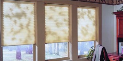 Pleated Shades Pleated Shades