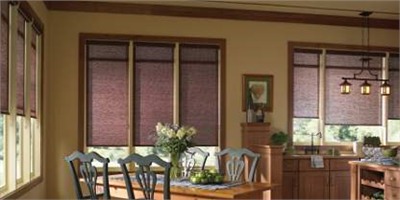 Roller Shades Roller Shades